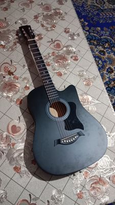 Gitara Pro