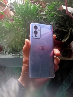 OnePlus 9 5G bor