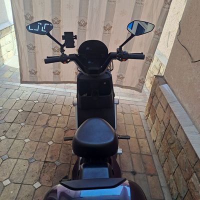 Drongo TK madeli narx 4 mnl full info tastda