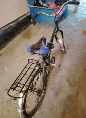 velosiped