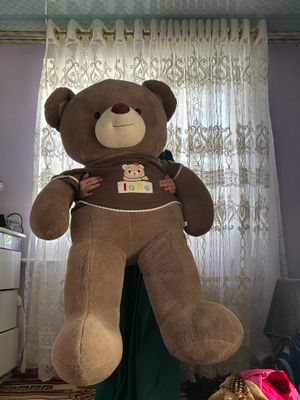 Teddy sotiladi