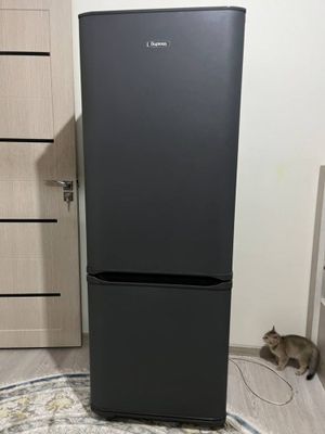 Biryusa ideal holatda