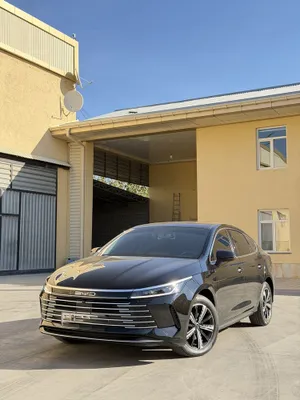 Chazor BYD salondan olingan