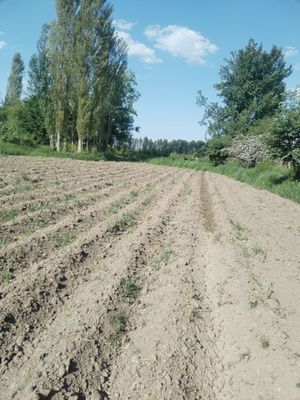 Продаётся земля 9 сотих