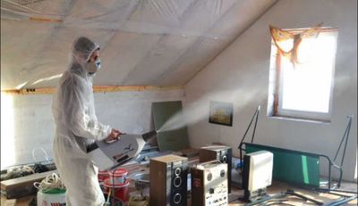 Уничтожение крыс, мышей | Дератизация и дезинфекция помещений