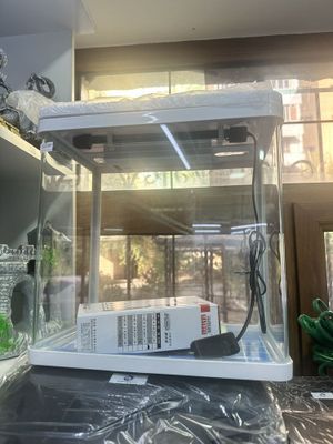 Bujetni 15L akvarium