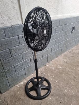 Volto vintilator