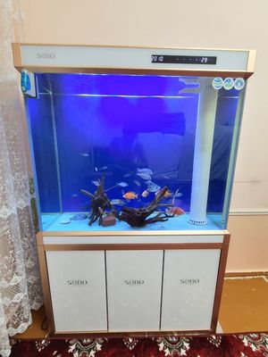 Aquarium SOBO 280 litr