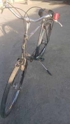 Gazelli