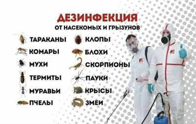 Дизенфекция 24/7 с 100% гарантией