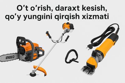 Oʻt oʻrish ,d araxt kesish ,qoʻy yungini qirqish xizmatlari