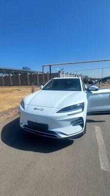 Byd chempion smart 2025