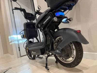 Drongo elektir sukuter