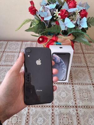 iPhone Xr 64gb Ll/a