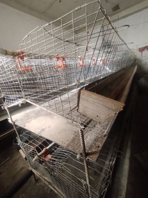 Nesushki Tovuqlar uchun setkalar sotiladi. Jami 3 blok.