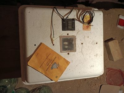 Inkubator nesushka avtomat 63ta tovuq tuxum 114ta bedana
