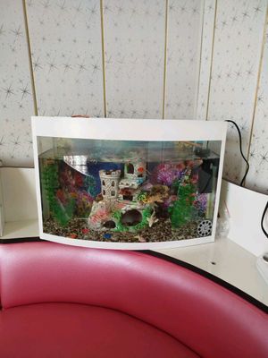 akvarium sotiladi
