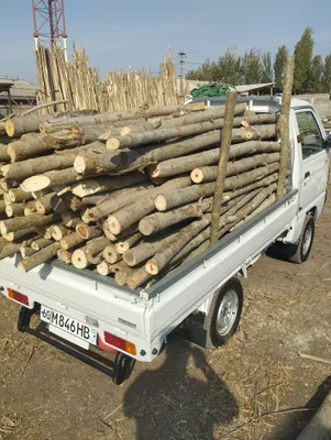 У́тинлар СОТИЛАДИкелишилган холда ётказиб берамиз