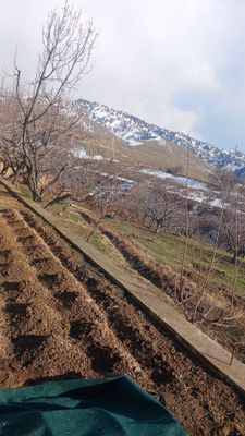 yer sotiladi 5sotix toshkent viloyati parkent tumanida sotixi 7000$