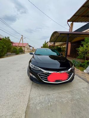 Molibu 2 Primer 2022yil