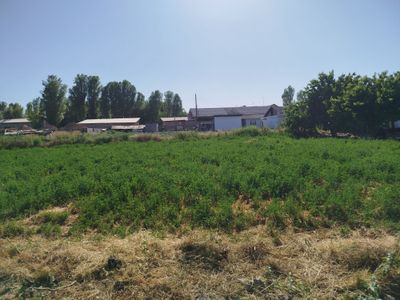 Srochna yer uchaska sotiladi