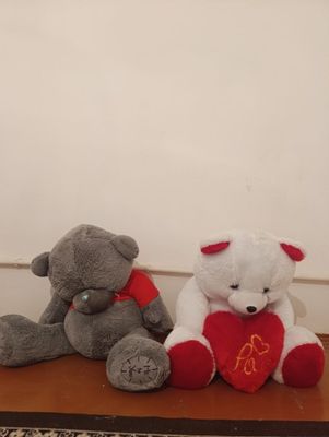 Ayiqcha bor ikkita