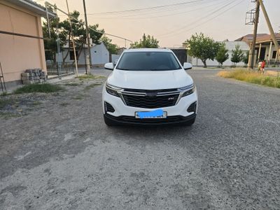 Equinox ранги ок краска тозза