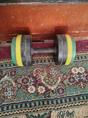 Гантель 20кгнан 2штук бар