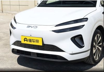 BYD Sea Lion 06 CIP