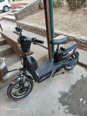 elektr skuter