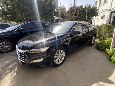 Malibu 2 Premier Arendaga