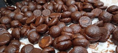 Prtaniklarni bir kunda o'rgataman