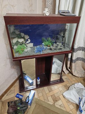 Akvarium sotiladi