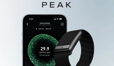 Whoop 5.0 Peak 1 год подписка