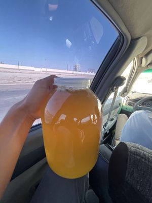 toza togʻni asali