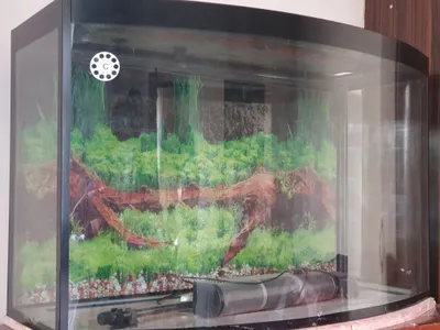 Аквариум 300л сотилади