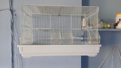 Кафаслар сотилади тшлатилган хама нарсалари Билан
