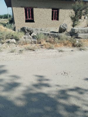 Блужняк плиталар