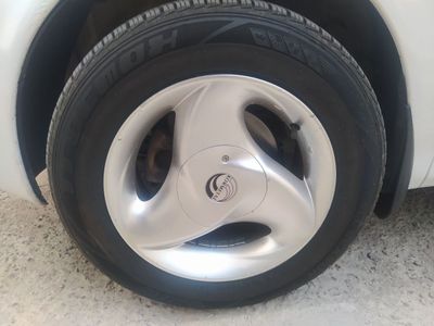 Matiz yoki damazga sakadika