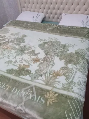 Адиёл хитойдики 6 кл