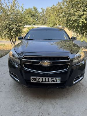 Малибу 1. Пазеса 2.