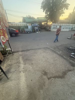 Mors kvas Tarvuz sotiwga joy arendaga beriladi