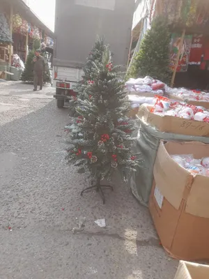 archa yangiyilda skedgada 320.000 ming dastavka yu