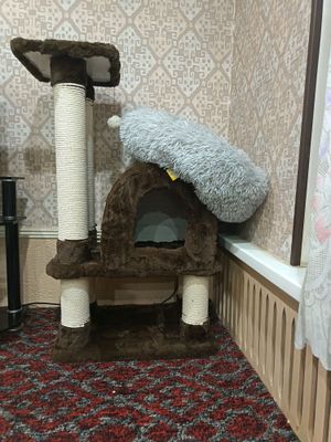 Домик для кошек