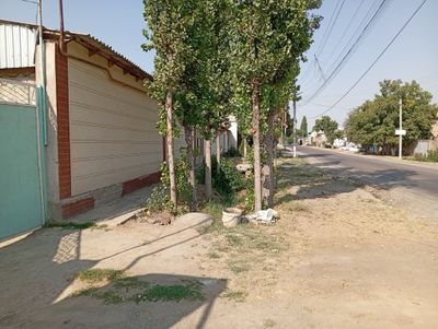 Орта чирчик участка