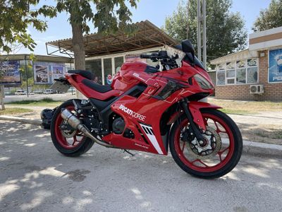 Ducati panigale Bikeland xl 200 9s