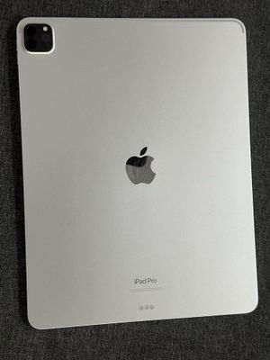 Ipad pro m2 12.9 inch