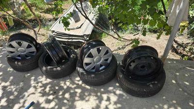 Жентра родной диска балони