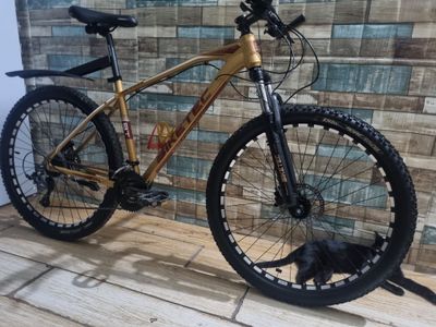Velo professional