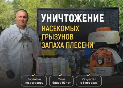 Уничтожение Тараканов, Клопов, Клещей, Мышей